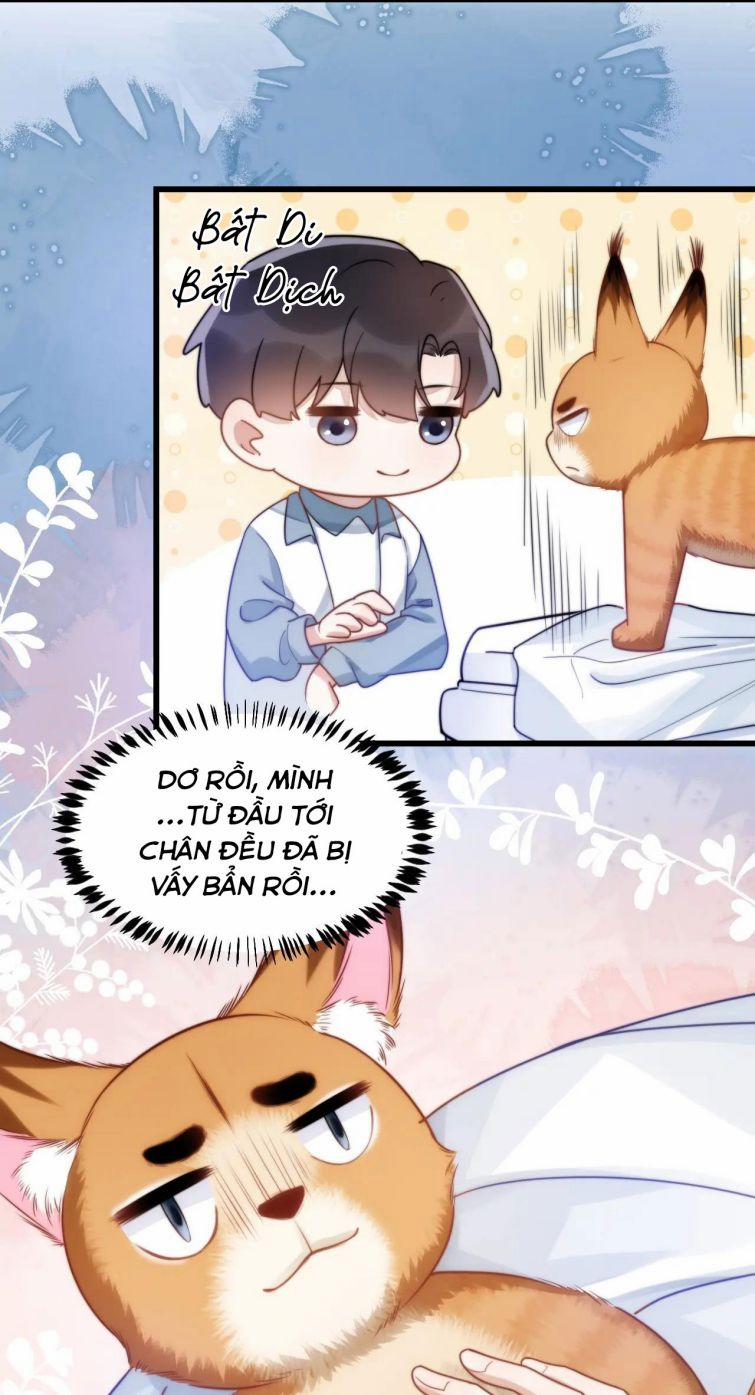 Tiểu Dã Miêu Của Học Bá Thật Trêu Người 9 trang 17
