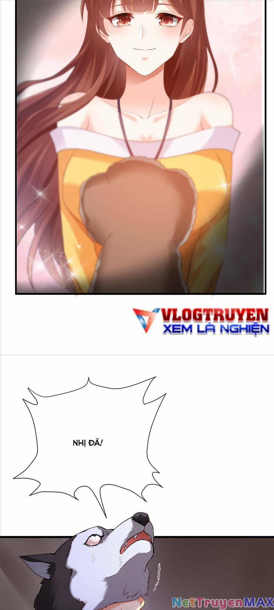 Tiểu Đệ Của Ta Là Yêu Vương 14 trang 24