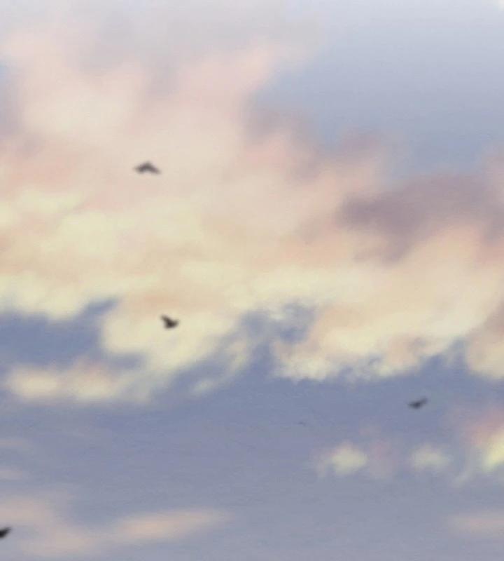 Tiểu Đệ Tử Của Võ Lâm Minh Chủ 1 trang 273