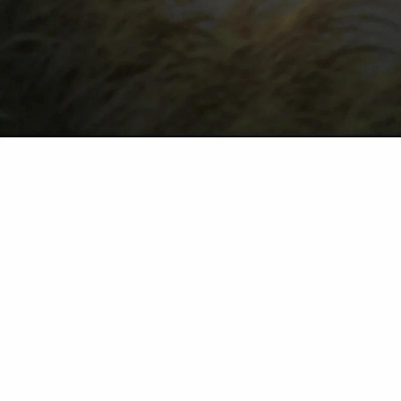 Tiểu Đệ Tử Của Võ Lâm Minh Chủ 2 trang 20