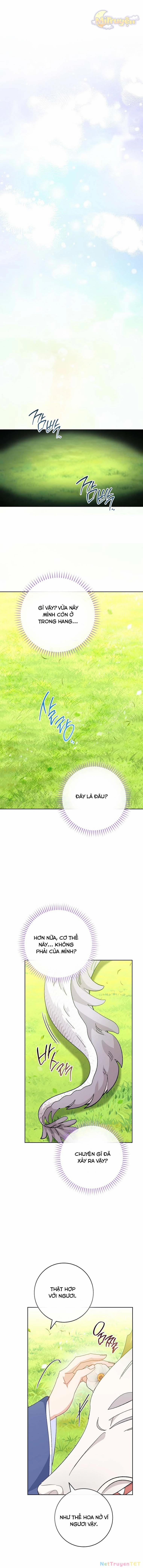 Tiểu Thiếp Chỉ Muốn Sống Yên Bình 105 trang 4