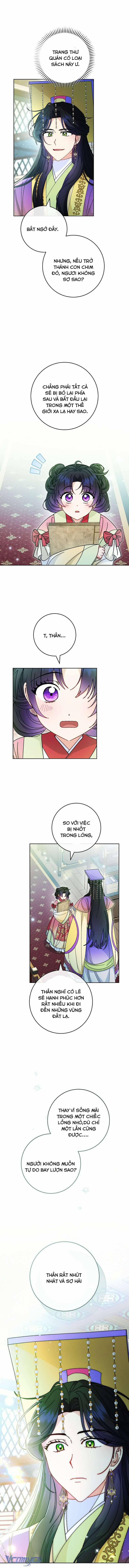 Tiểu Thiếp Chỉ Muốn Sống Yên Bình 116 trang 5