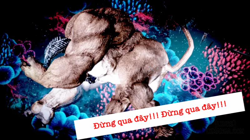 Tiểu Vũ NTR 1.1 0 Xuyên không vào Đấu La Đại Lục trang 16