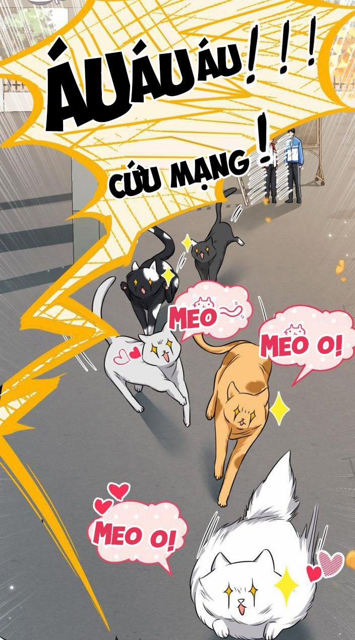 Tín Tức Tố Nói Chúng Ta Không Thể 27 trang 20