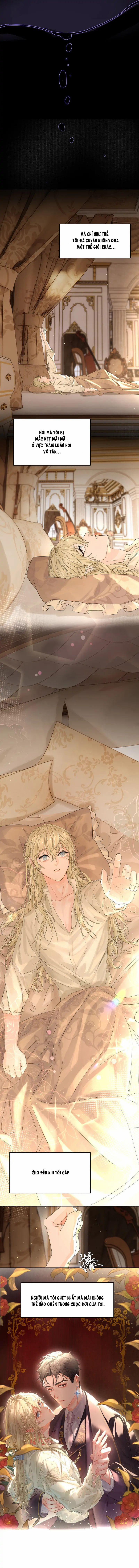 Tình Cũ Là Hoàng Đế 1.2 trang 9