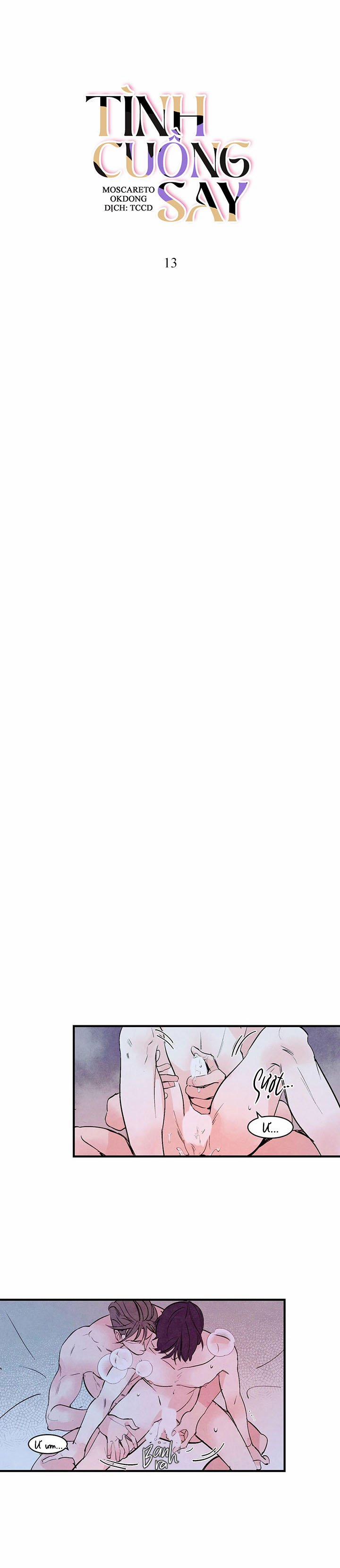 Tình Cuồng Say 13 trang 4