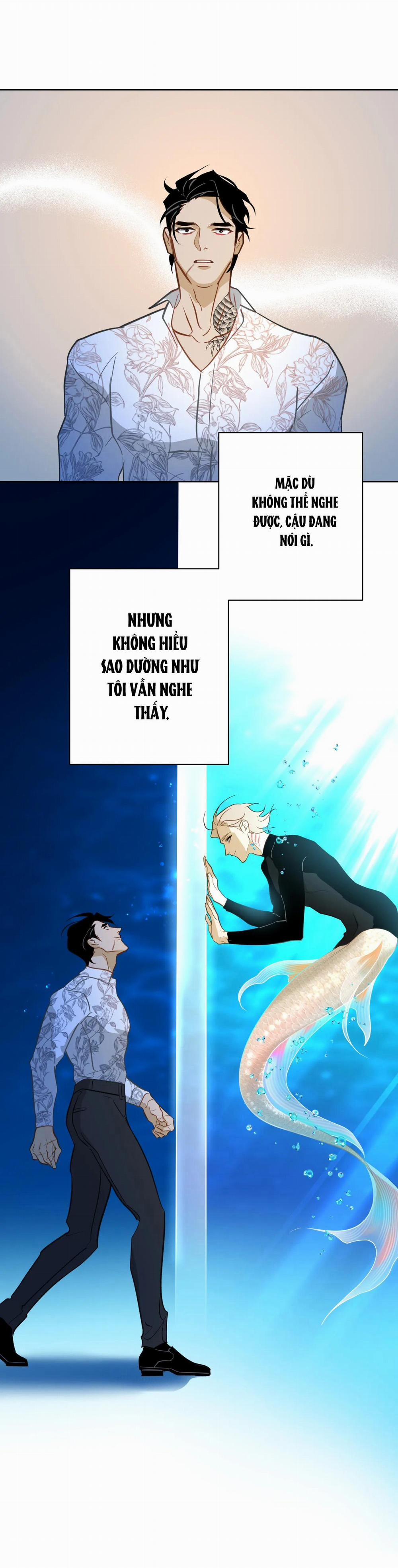 Tình đầu của chủ quán gỏi cá là nhân ngư 11 trang 64