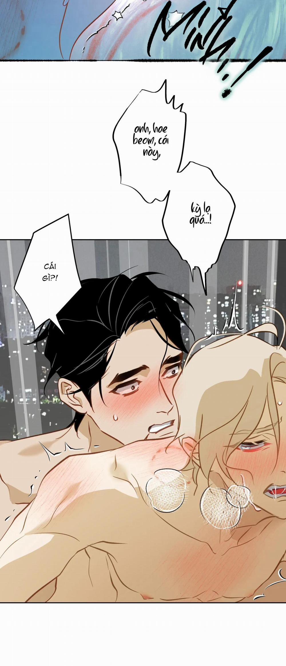 Tình đầu của chủ quán gỏi cá là nhân ngư 14 trang 15