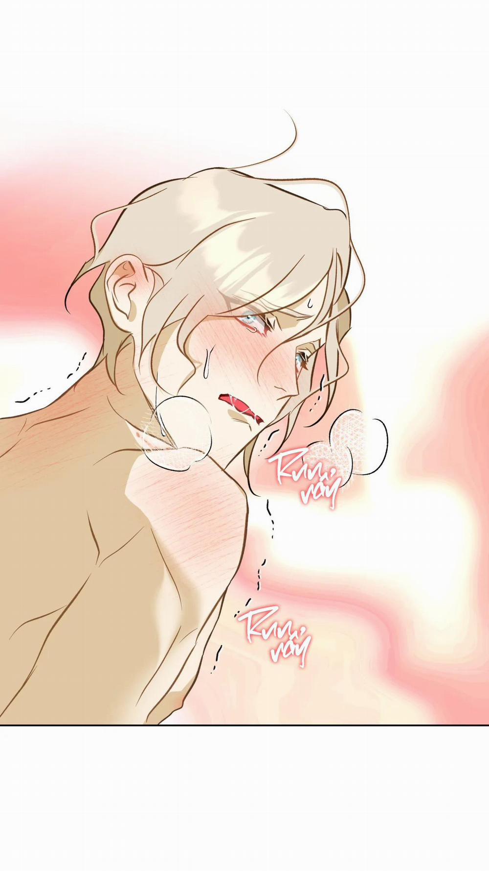 Tình đầu của chủ quán gỏi cá là nhân ngư 14 trang 16