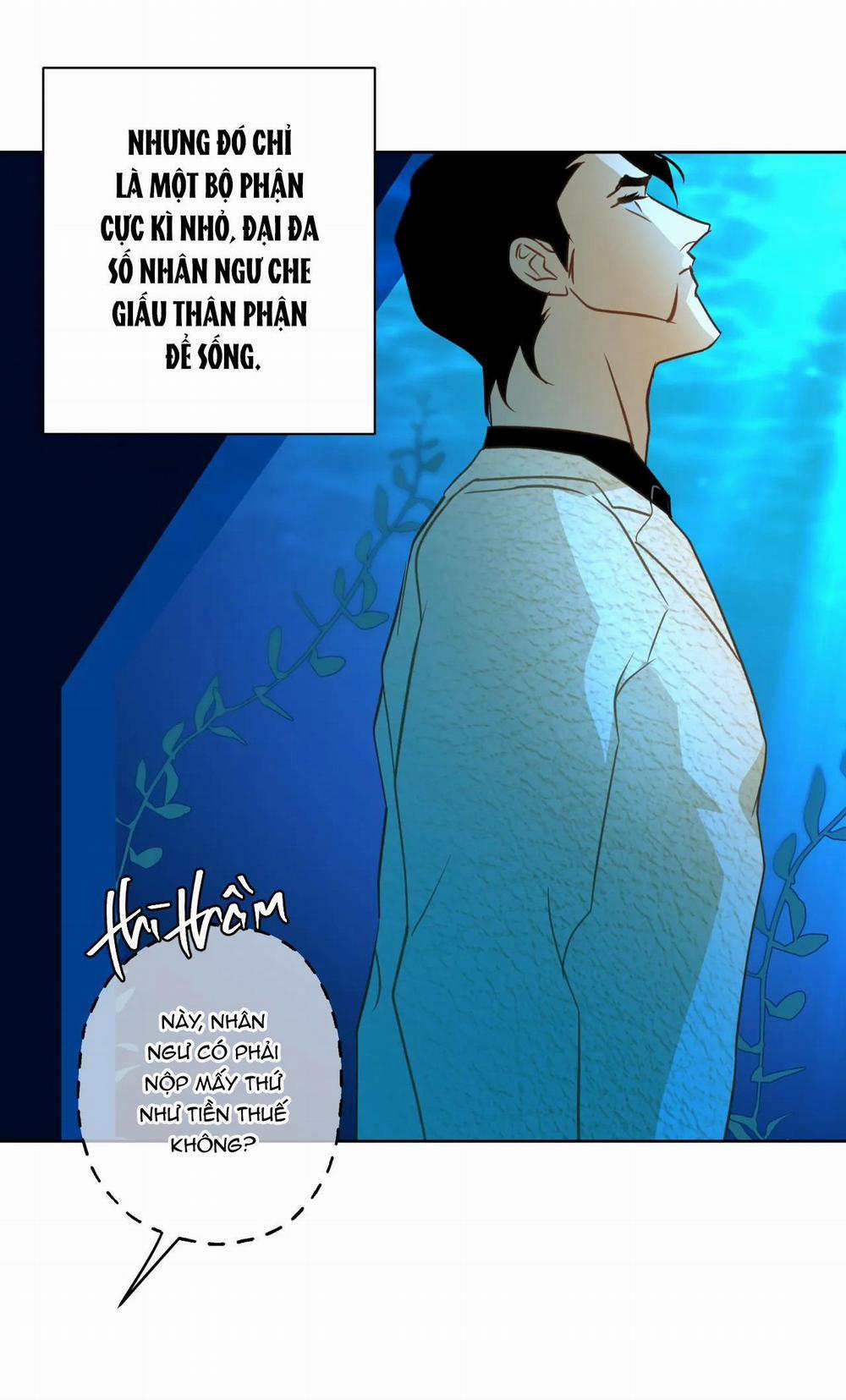 Tình đầu của chủ quán gỏi cá là nhân ngư 2 trang 3