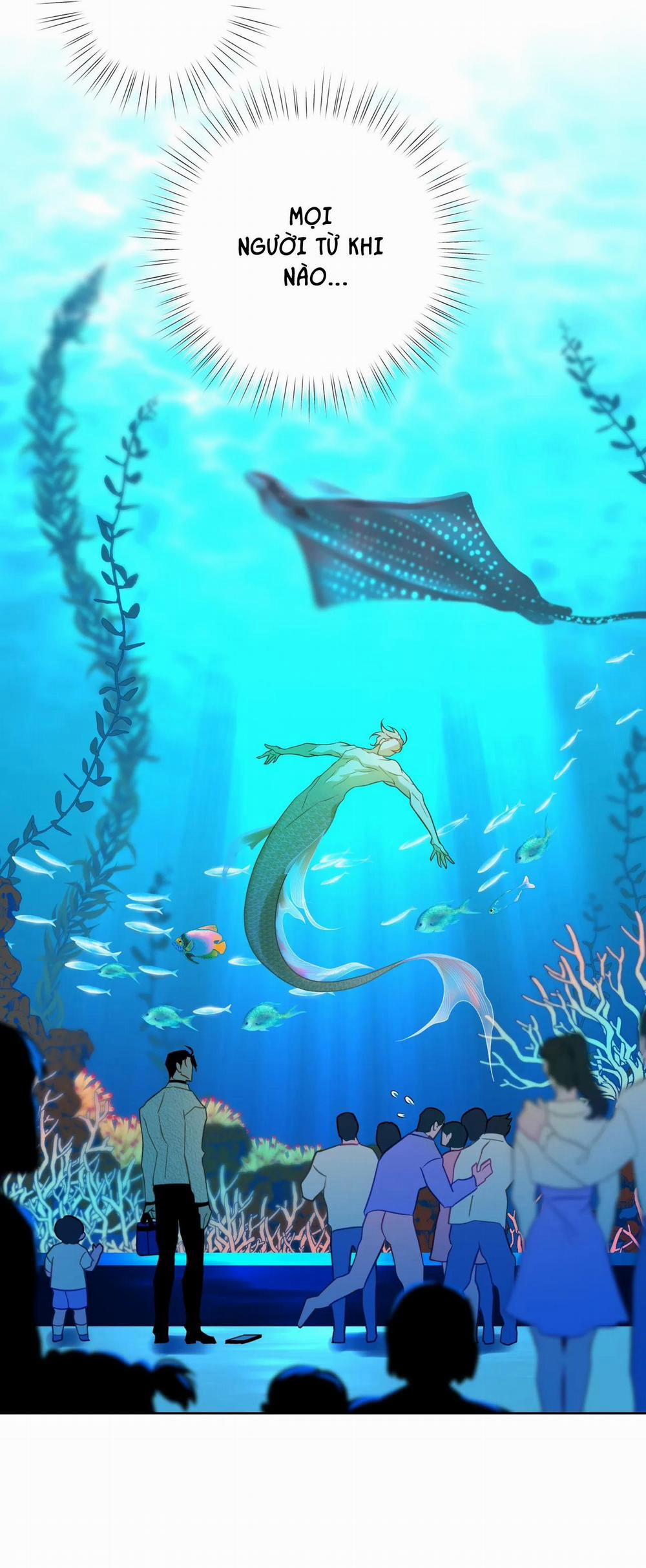 Tình đầu của chủ quán gỏi cá là nhân ngư 2 trang 6