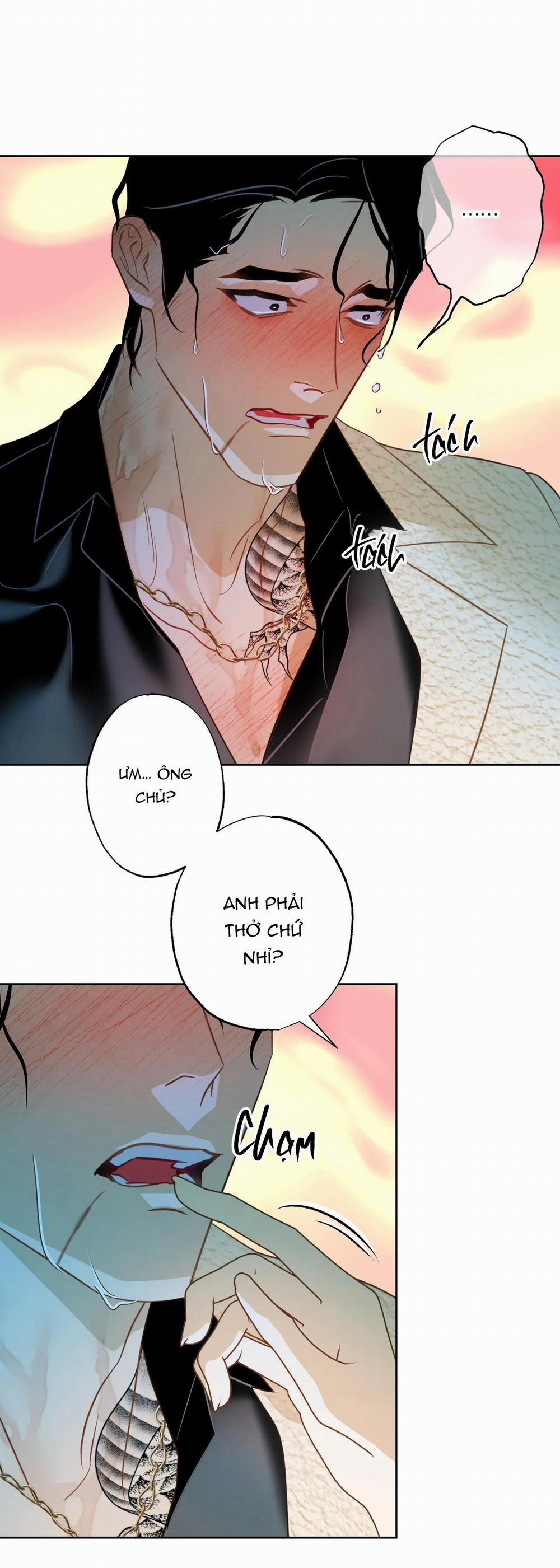 Tình đầu của chủ quán gỏi cá là nhân ngư 3 NGANG RAW trang 5