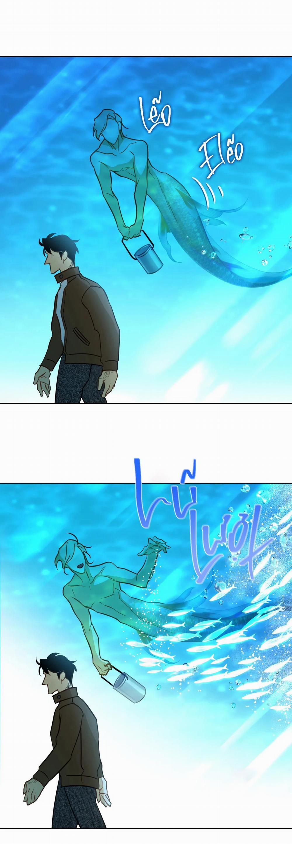 Tình đầu của chủ quán gỏi cá là nhân ngư 5 trang 15