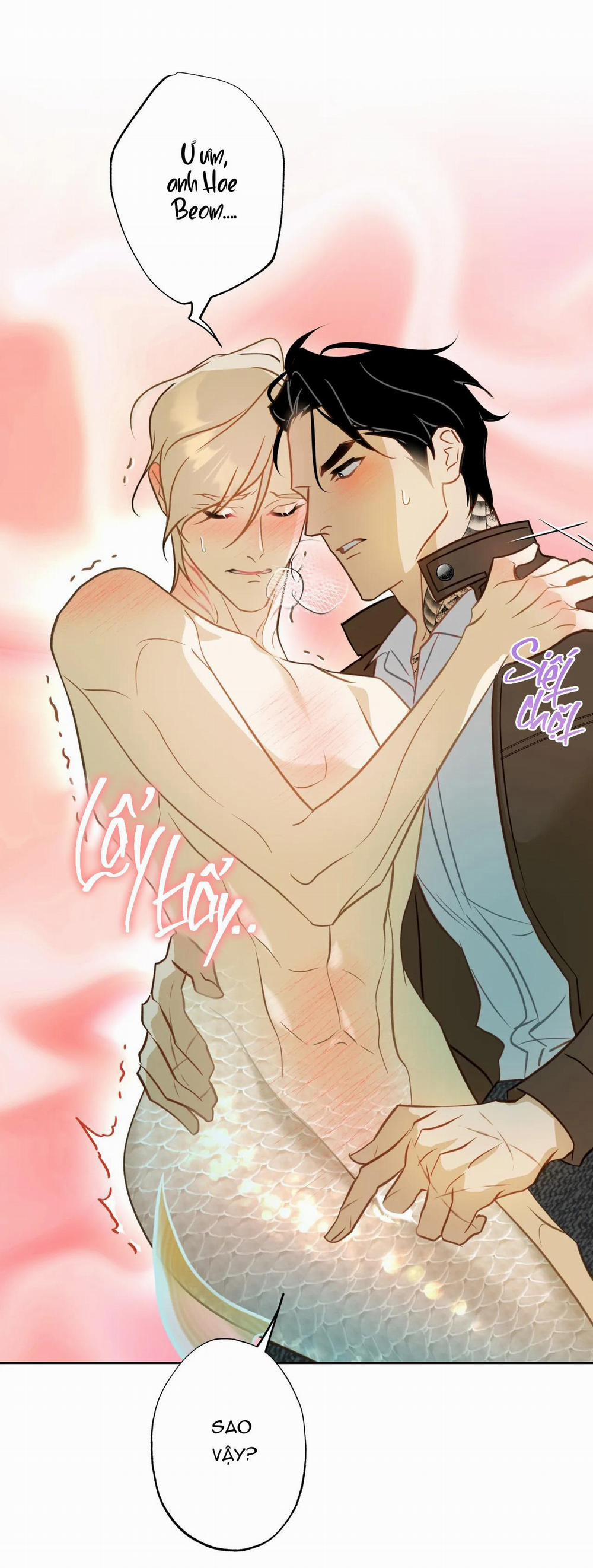 Tình đầu của chủ quán gỏi cá là nhân ngư 5 trang 42