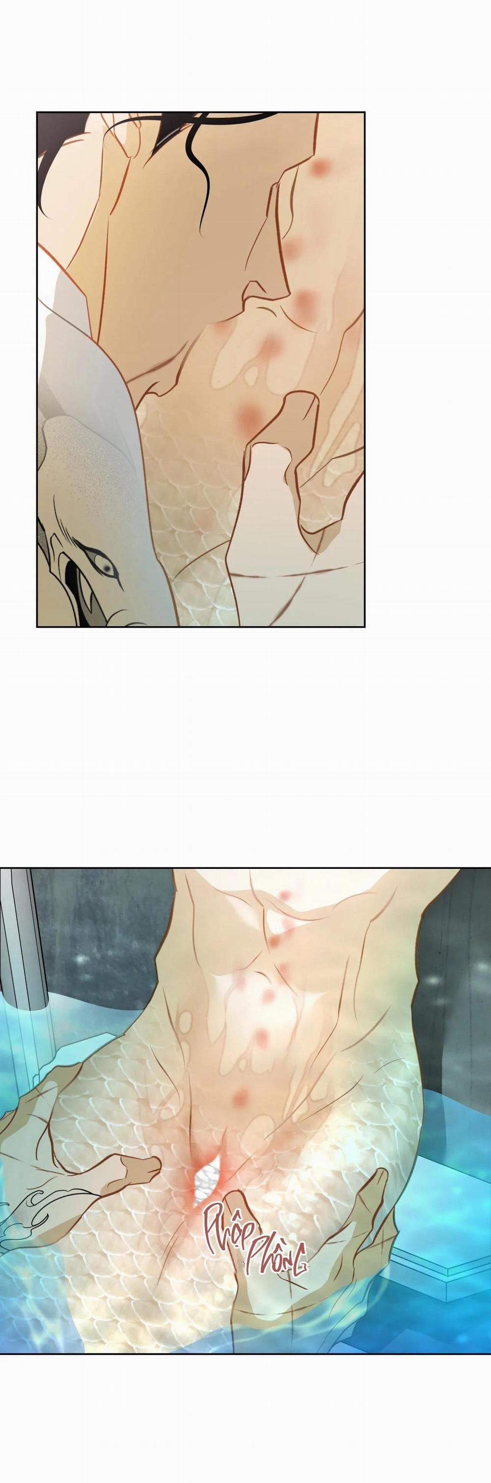 Tình đầu của chủ quán gỏi cá là nhân ngư 6 H++ trang 1