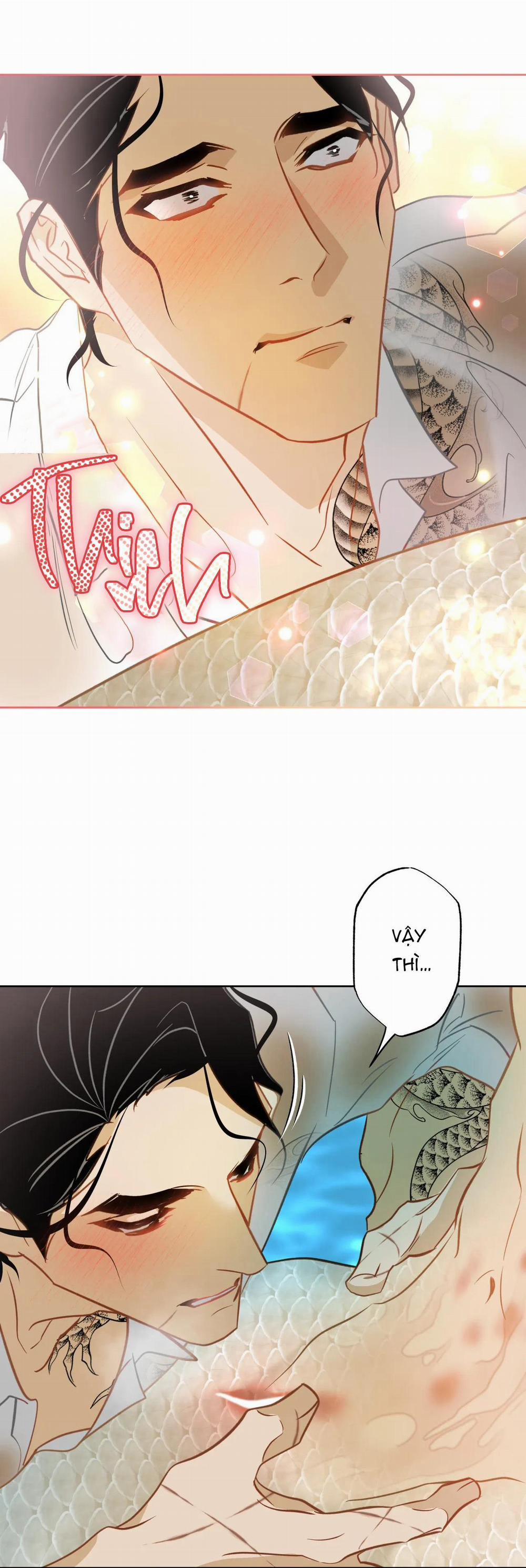 Tình đầu của chủ quán gỏi cá là nhân ngư 6 H++ trang 8