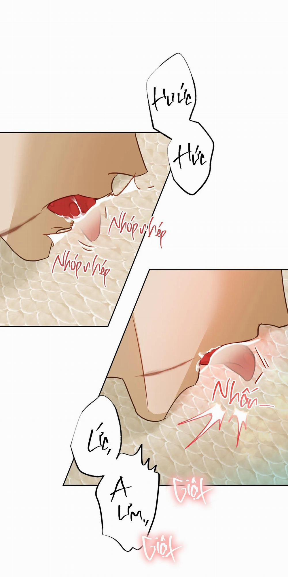 Tình đầu của chủ quán gỏi cá là nhân ngư 6 trang 3