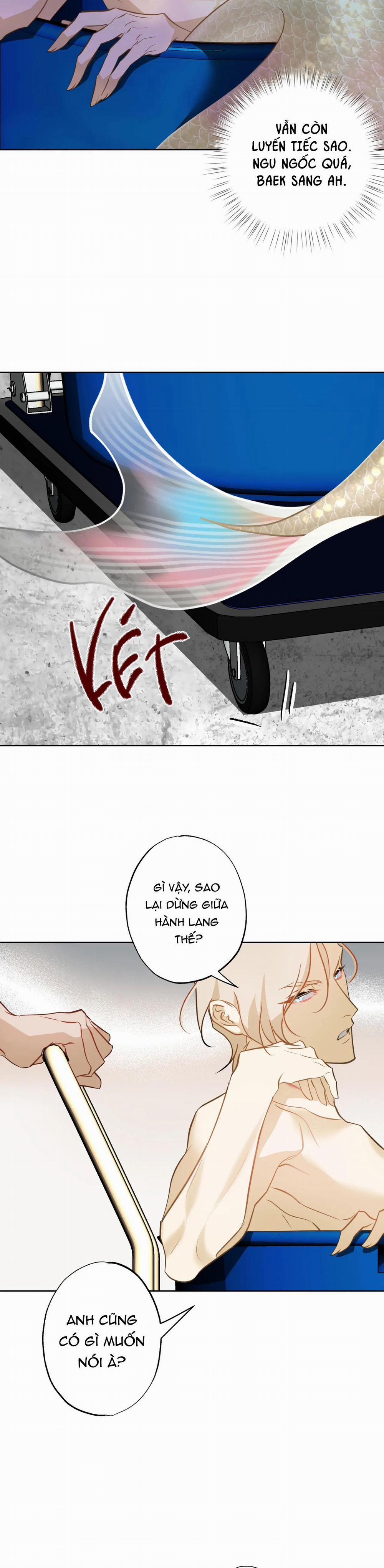 Tình đầu của chủ quán gỏi cá là nhân ngư 7 trang 31