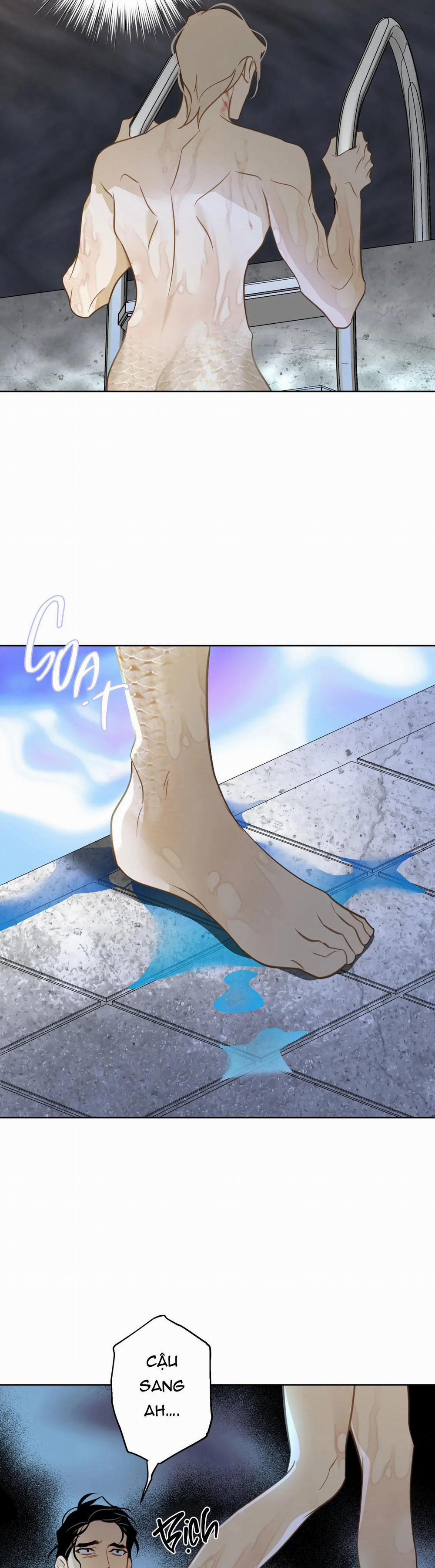 Tình đầu của chủ quán gỏi cá là nhân ngư 7 trang 8