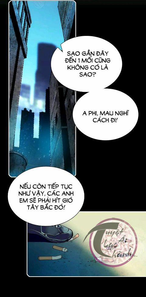 Tình Đầy Chông Gai 77 trang 3