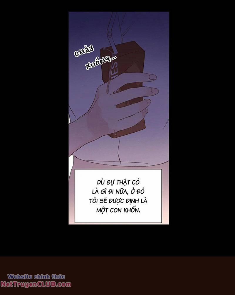 Tình Nhân 4 Tuần 70 trang 18