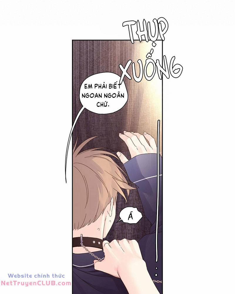 Tình Nhân 4 Tuần 72 trang 22