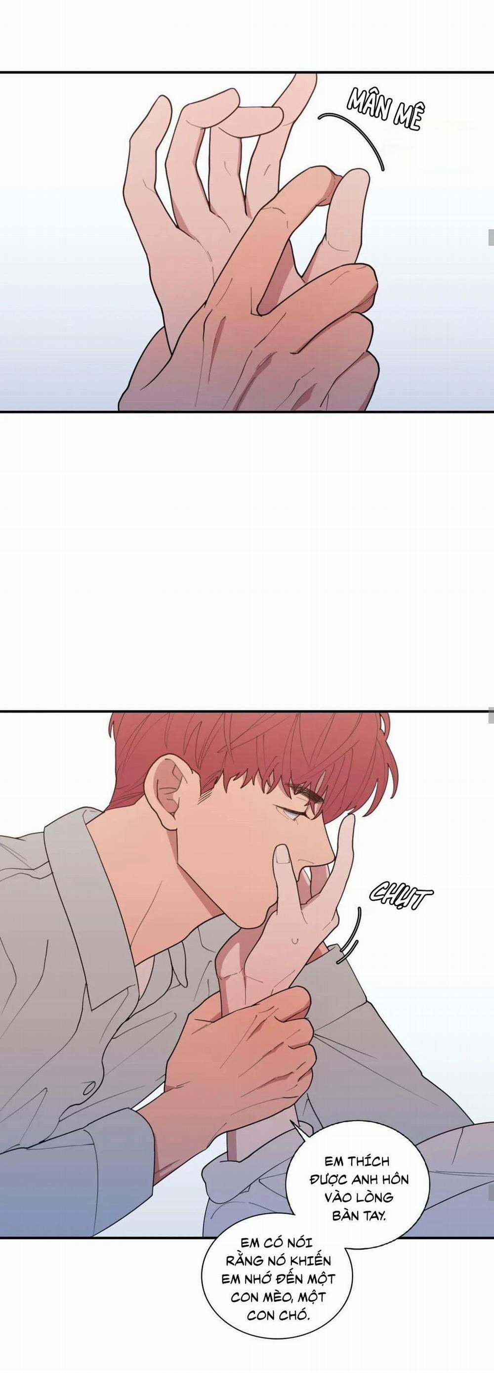 Tình Yêu Hay Thù Hận 102 trang 8