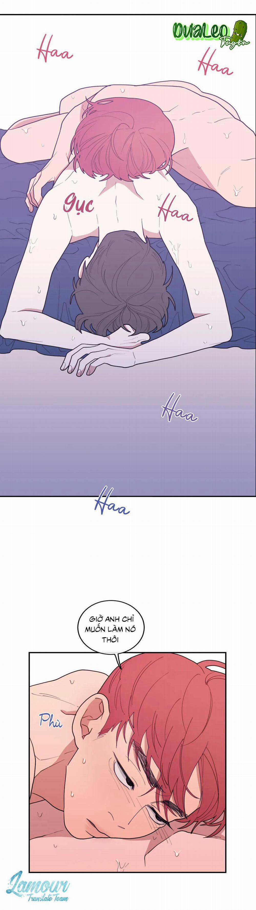 Tình Yêu Hay Thù Hận 19 trang 1