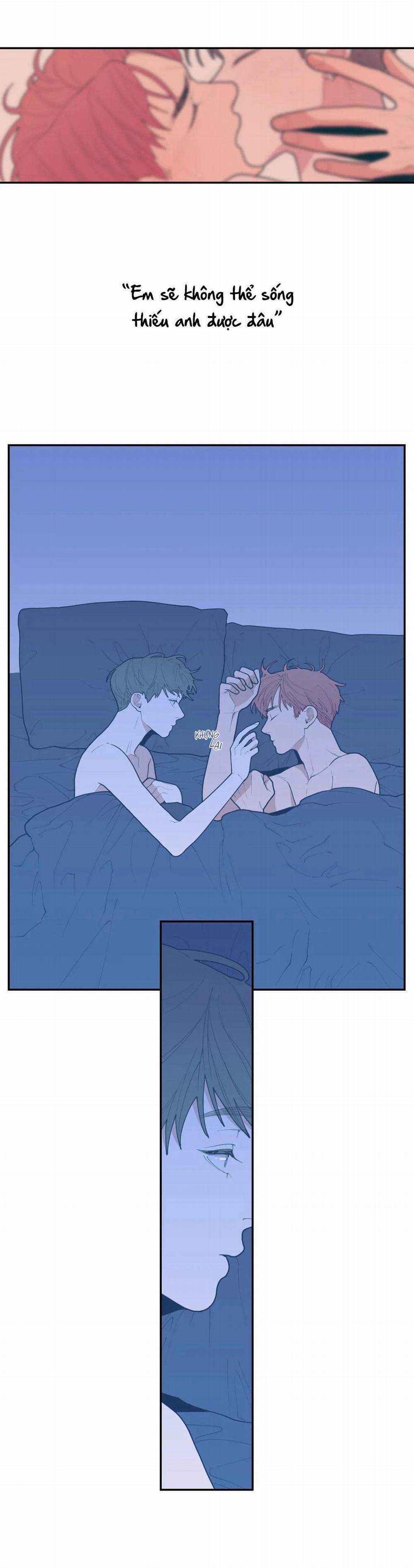 Tình Yêu Hay Thù Hận 20 trang 3