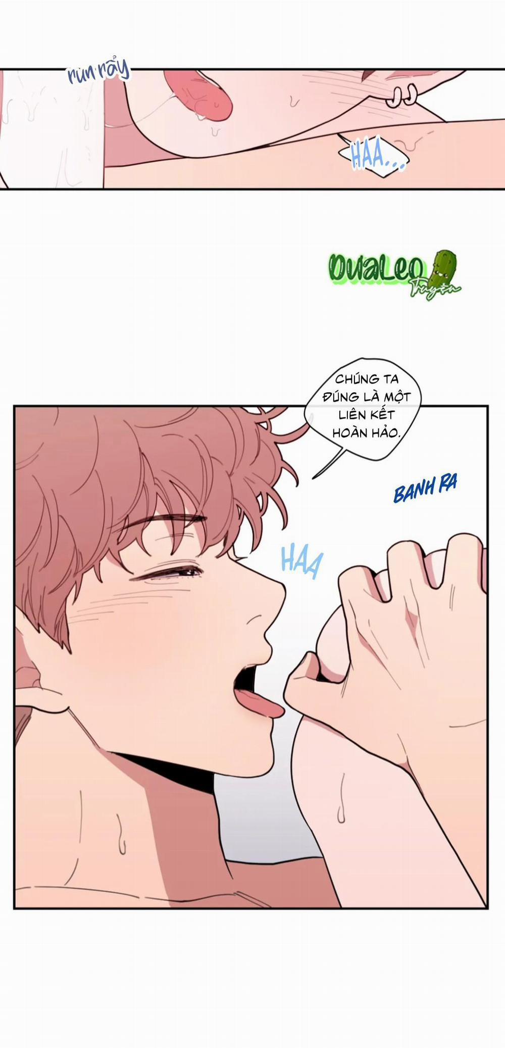 Tình Yêu Hay Thù Hận 26 trang 18