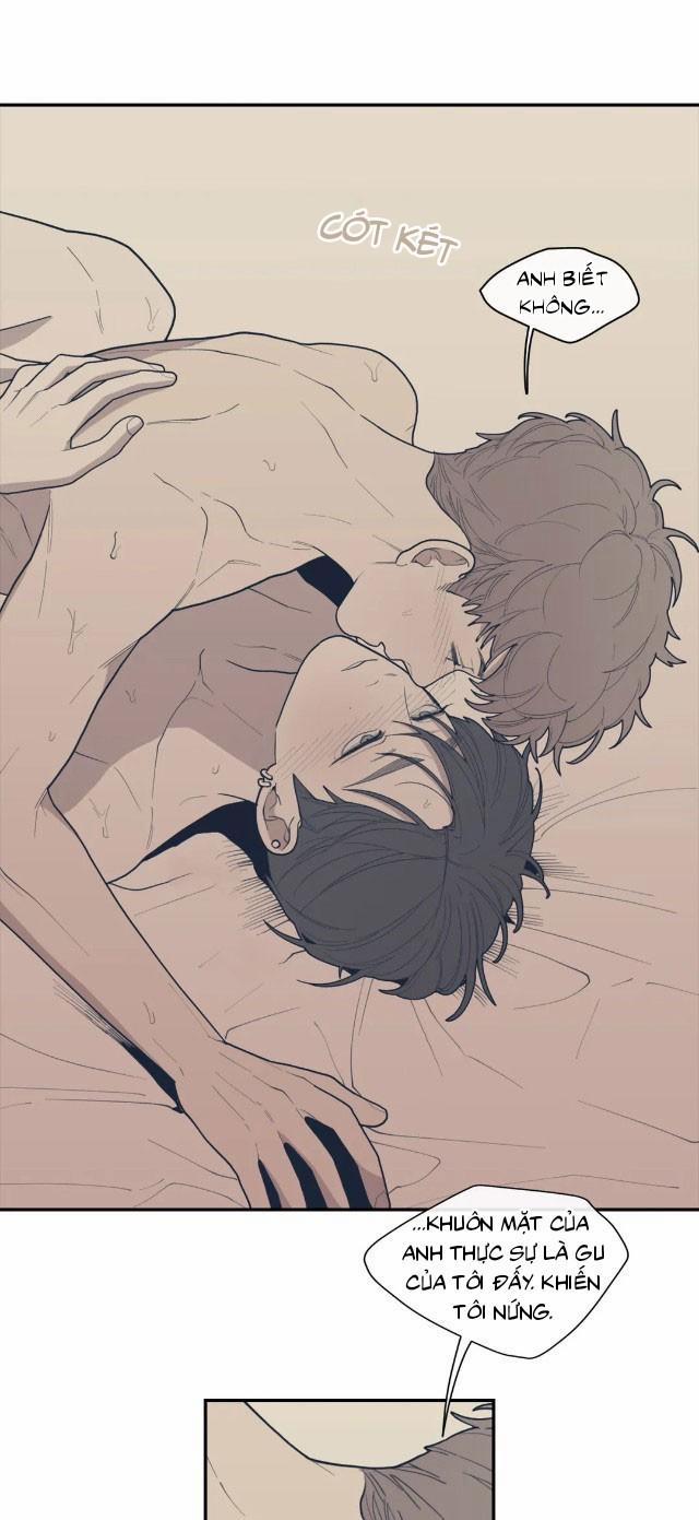 Tình Yêu Hay Thù Hận 28 trang 16