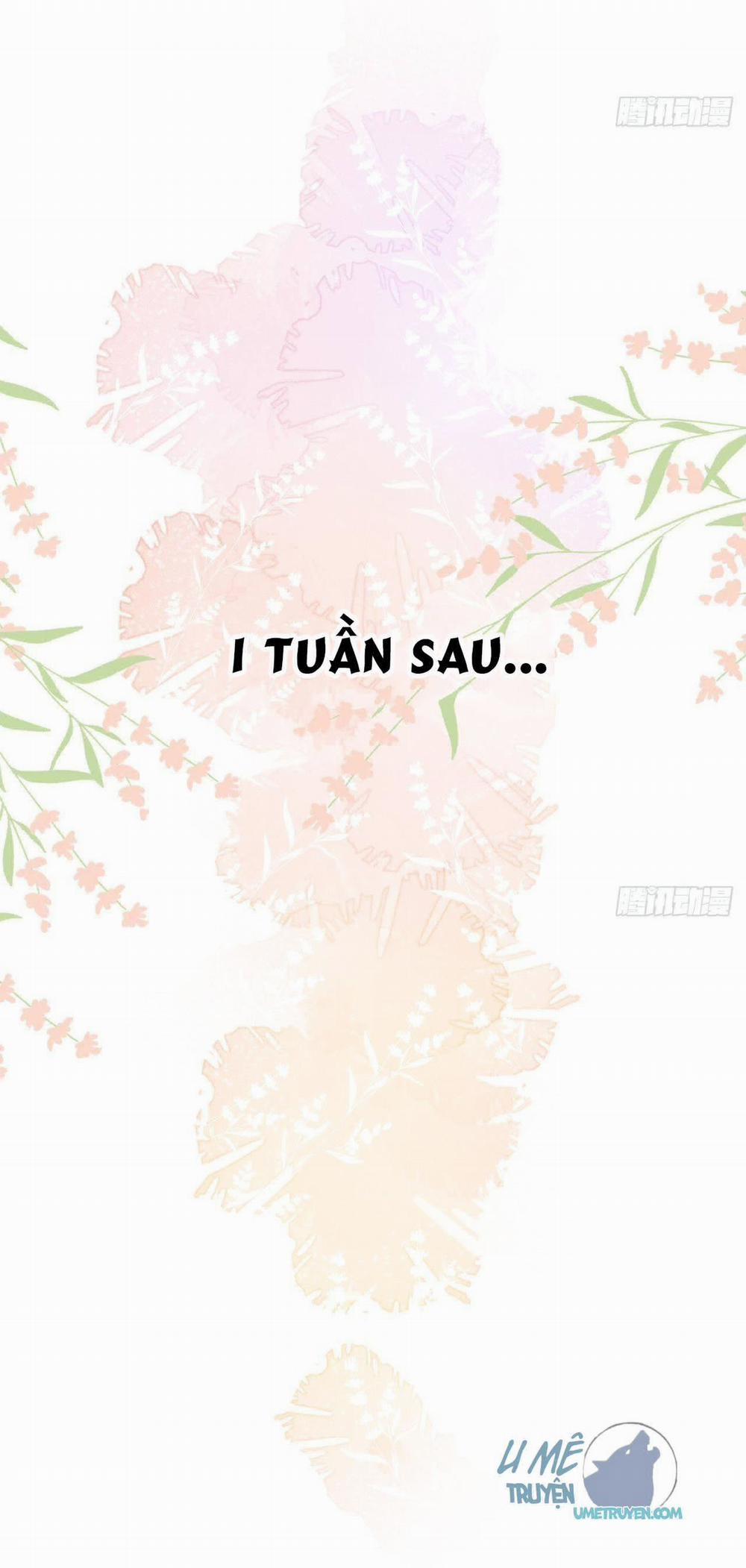 Tình Yêu Mạng Ngọt Ngào Lật Xe Rồi! 16 trang 14