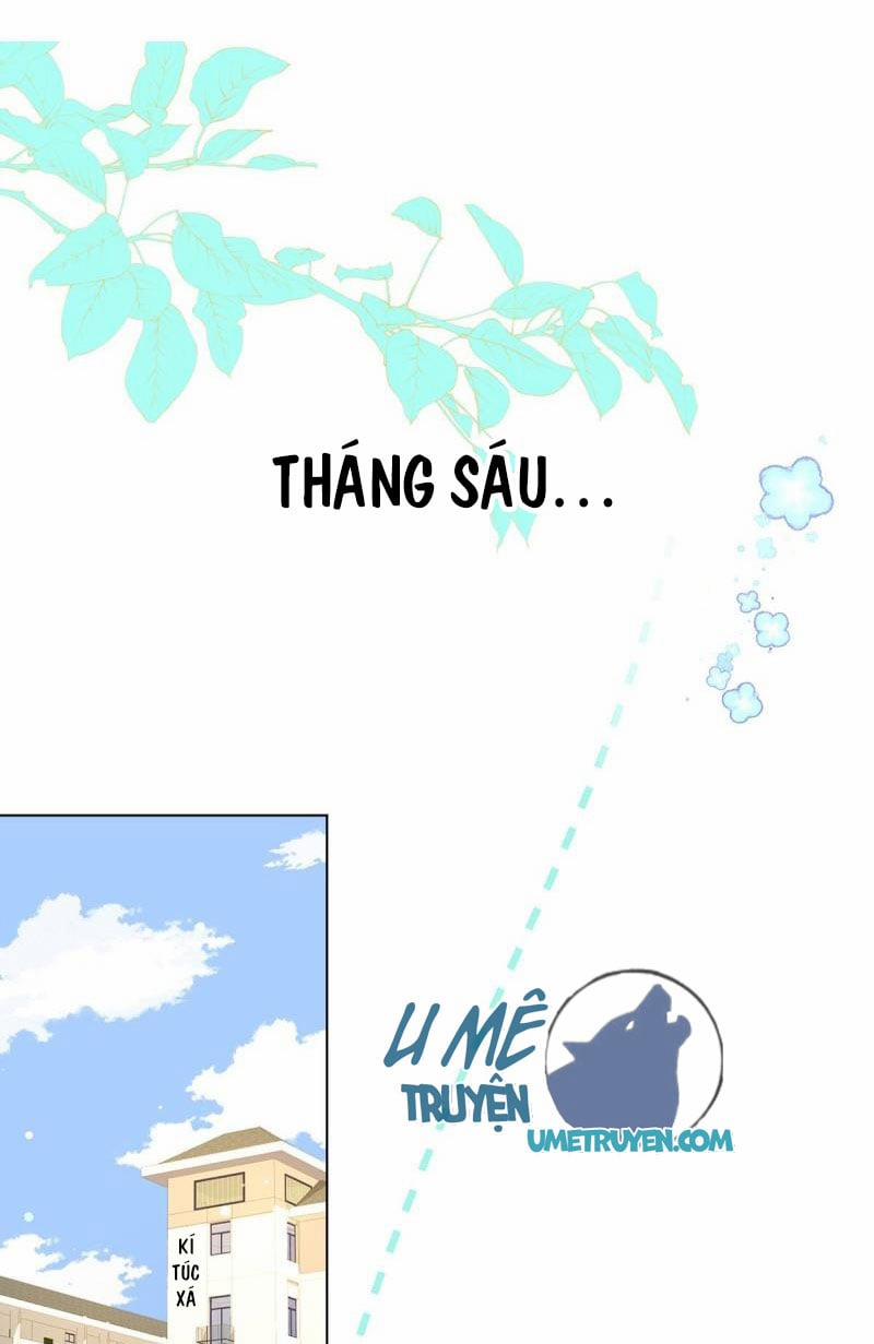 Tình Yêu Mạng Ngọt Ngào Lật Xe Rồi! 56 trang 12