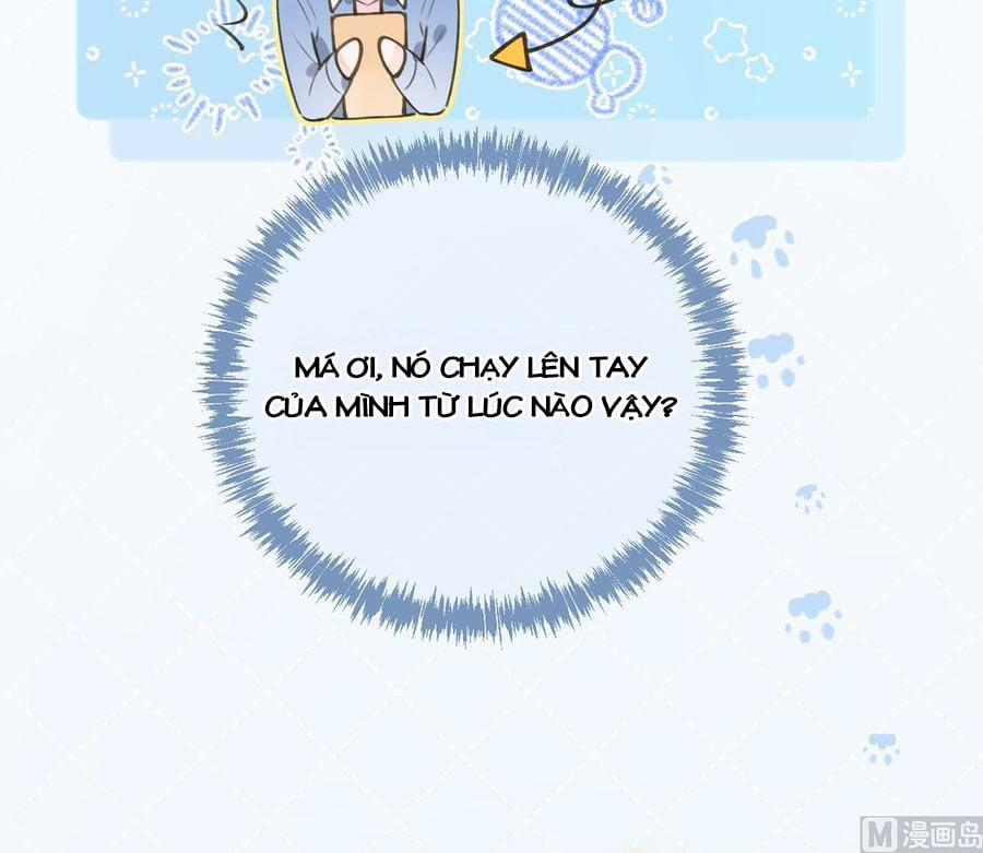 Tình Yêu Mạng Ngọt Ngào Lật Xe Rồi! 57 trang 43