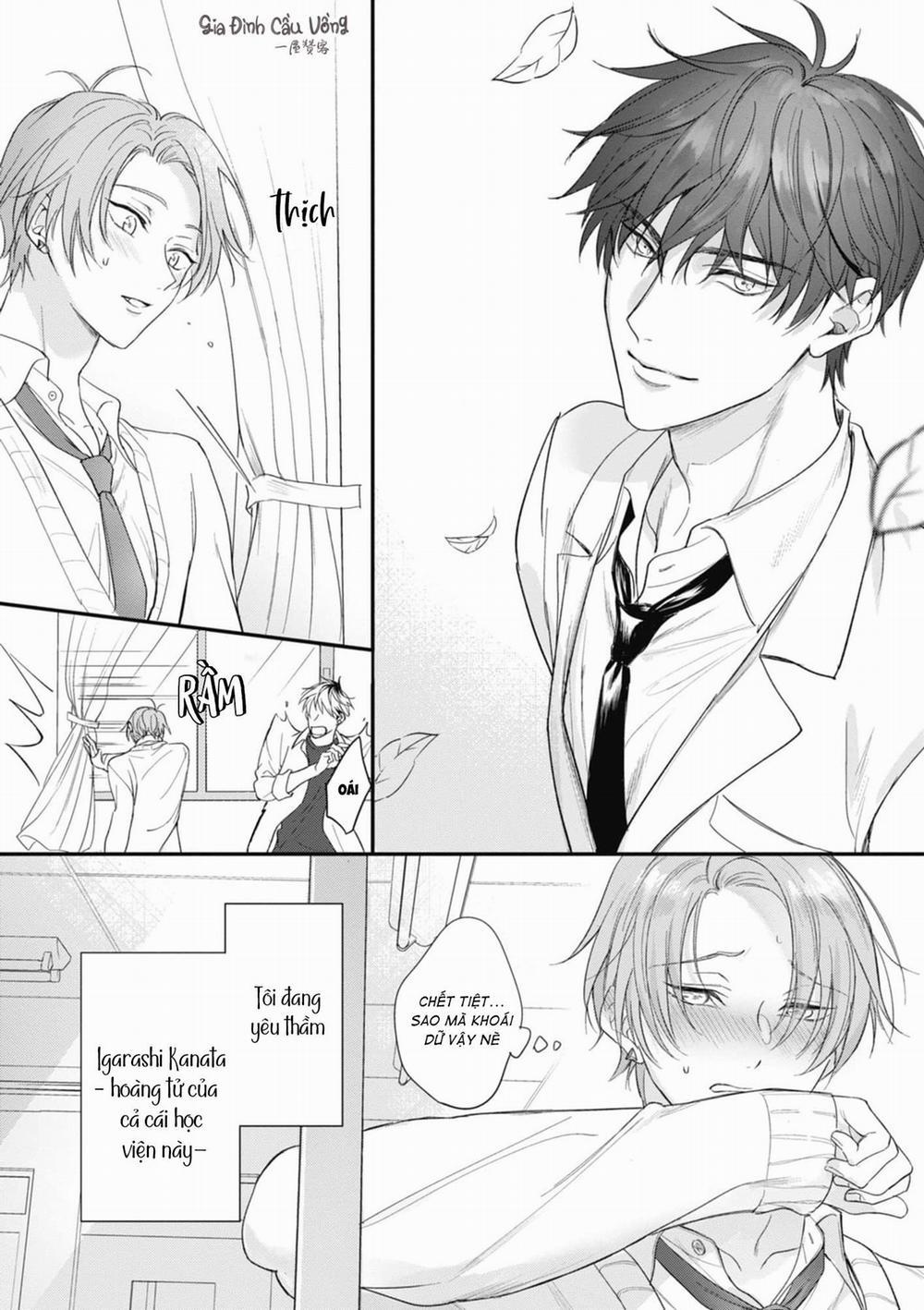 Tình Yêu Ngọt Ngào Nhưng Không Kém Phần Táo Bạo 1 trang 5