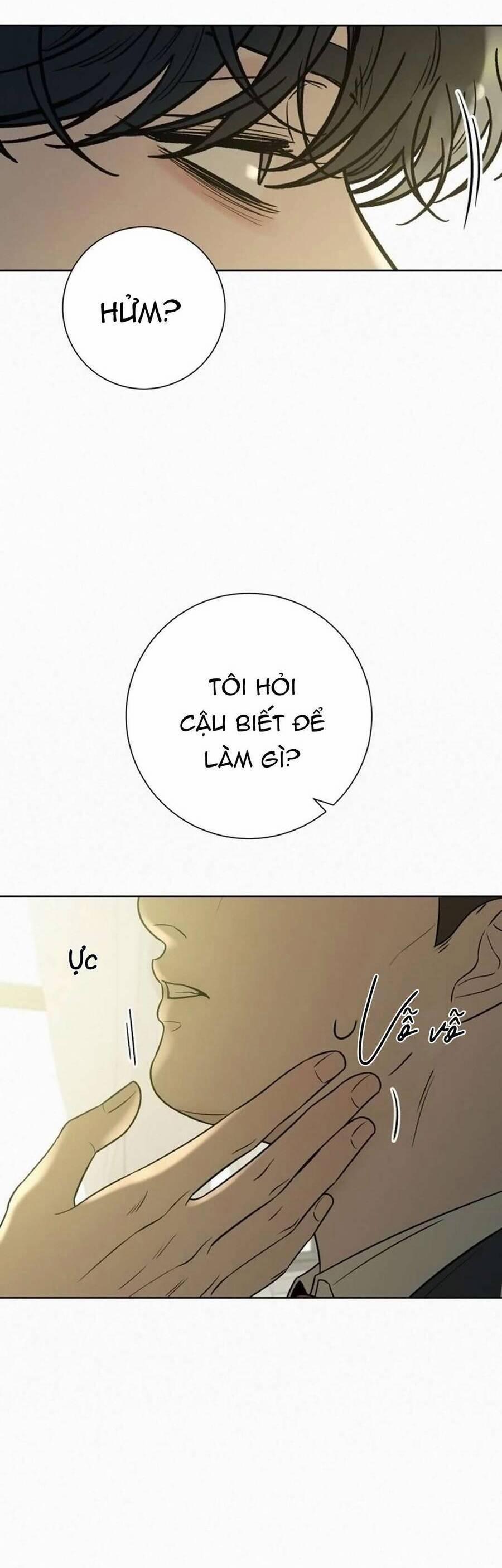 Tình Yêu Trong Sáng 102 trang 27