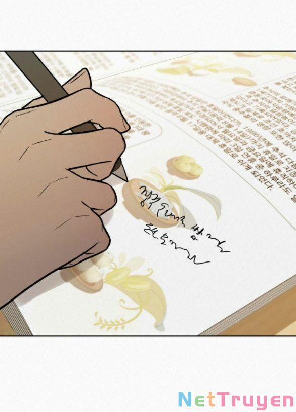 Tình Yêu Trong Sáng 24.2 trang 13