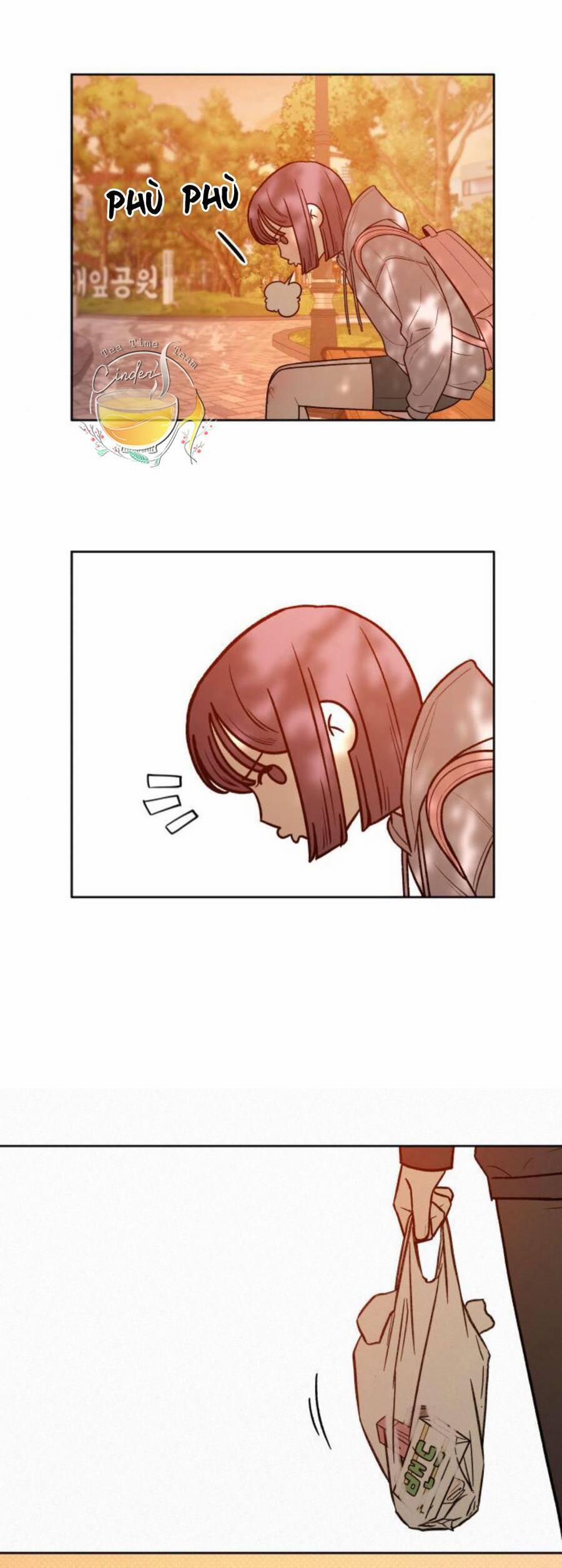 Tình Yêu Trong Sáng 38 trang 45