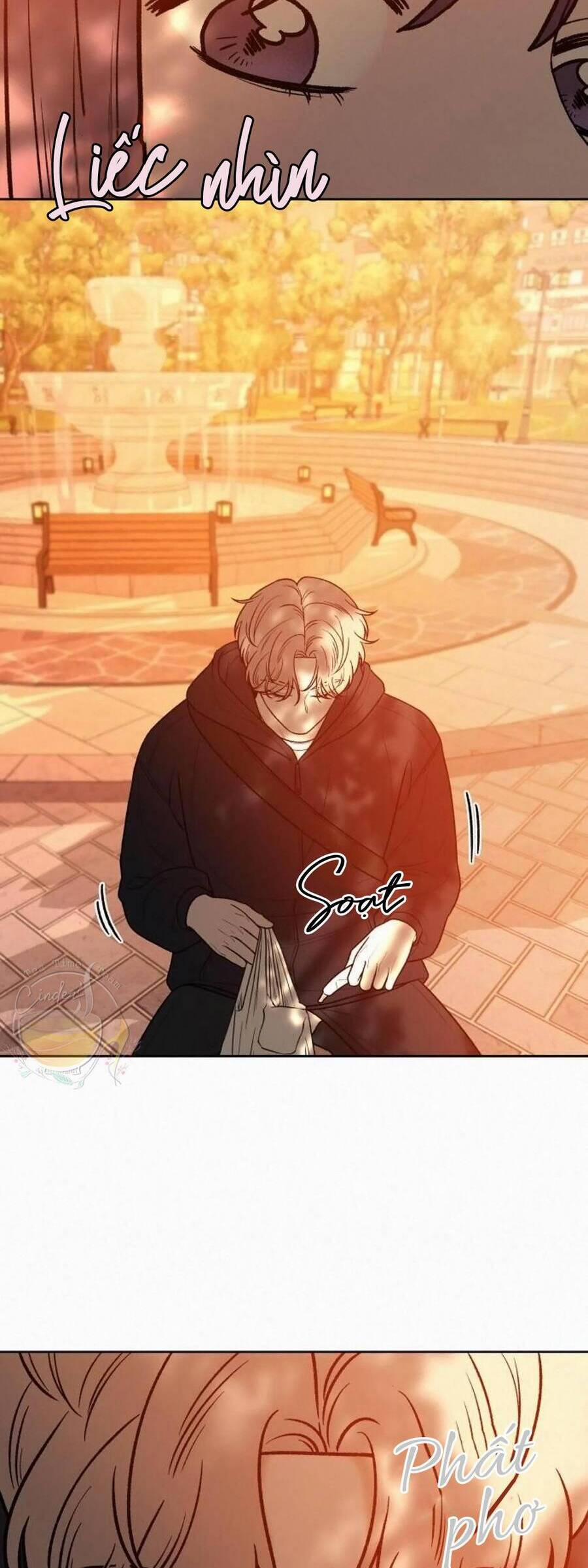 Tình Yêu Trong Sáng 39 trang 12