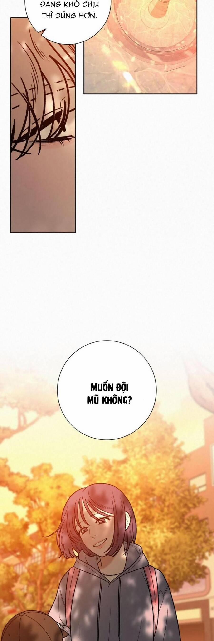 Tình Yêu Trong Sáng 39 trang 15