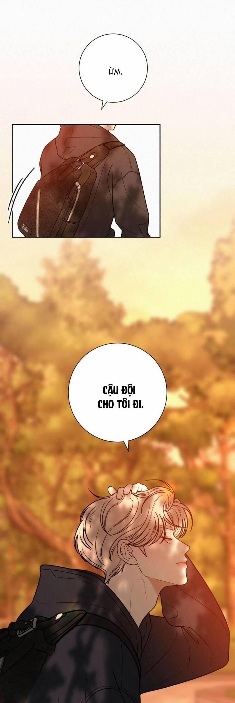 Tình Yêu Trong Sáng 39 trang 17