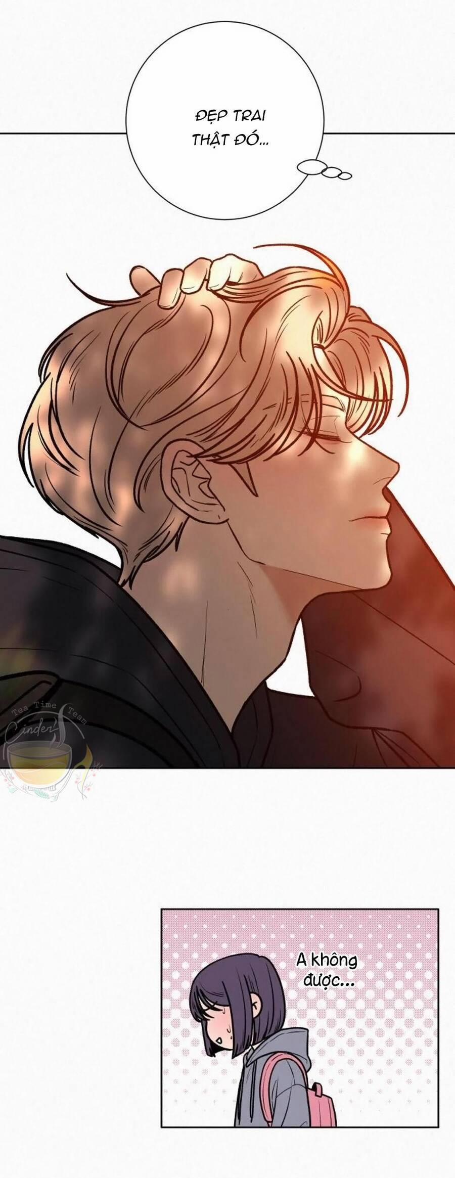 Tình Yêu Trong Sáng 39 trang 19