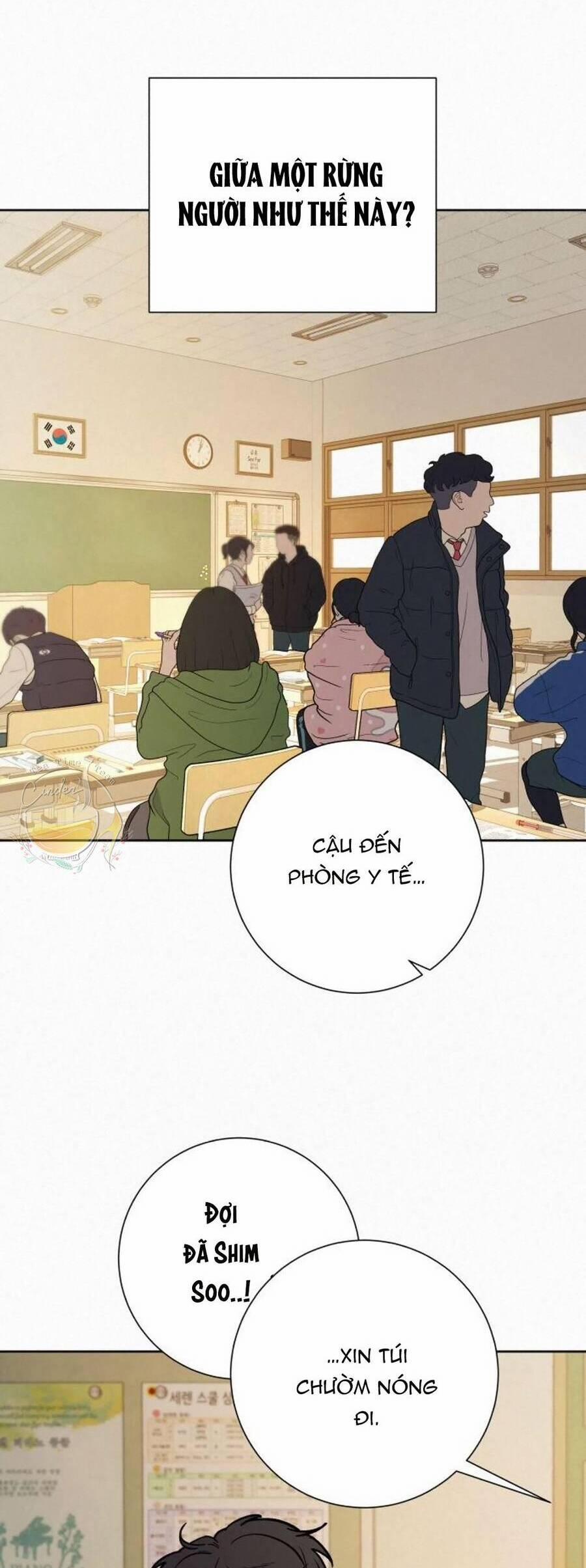 Tình Yêu Trong Sáng 40 trang 19