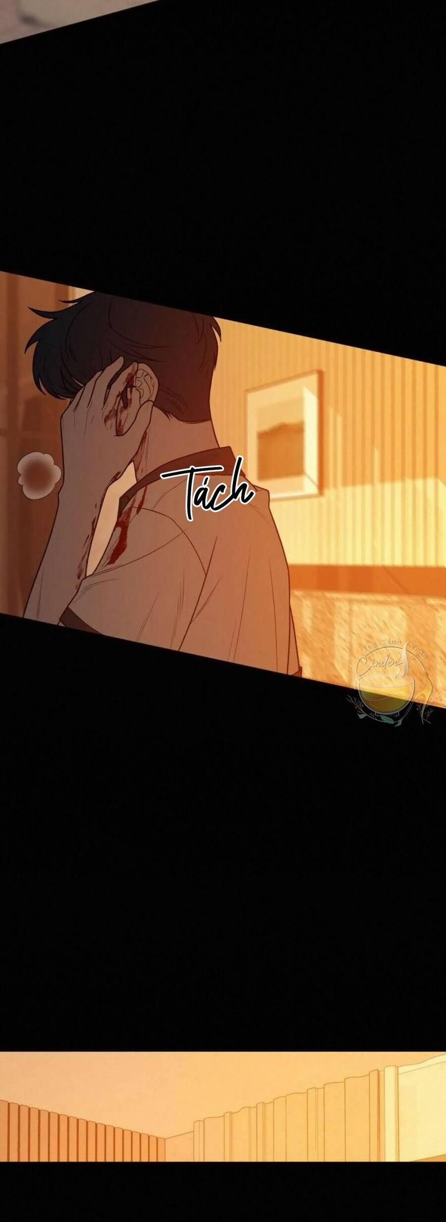 Tình Yêu Trong Sáng 40 trang 7