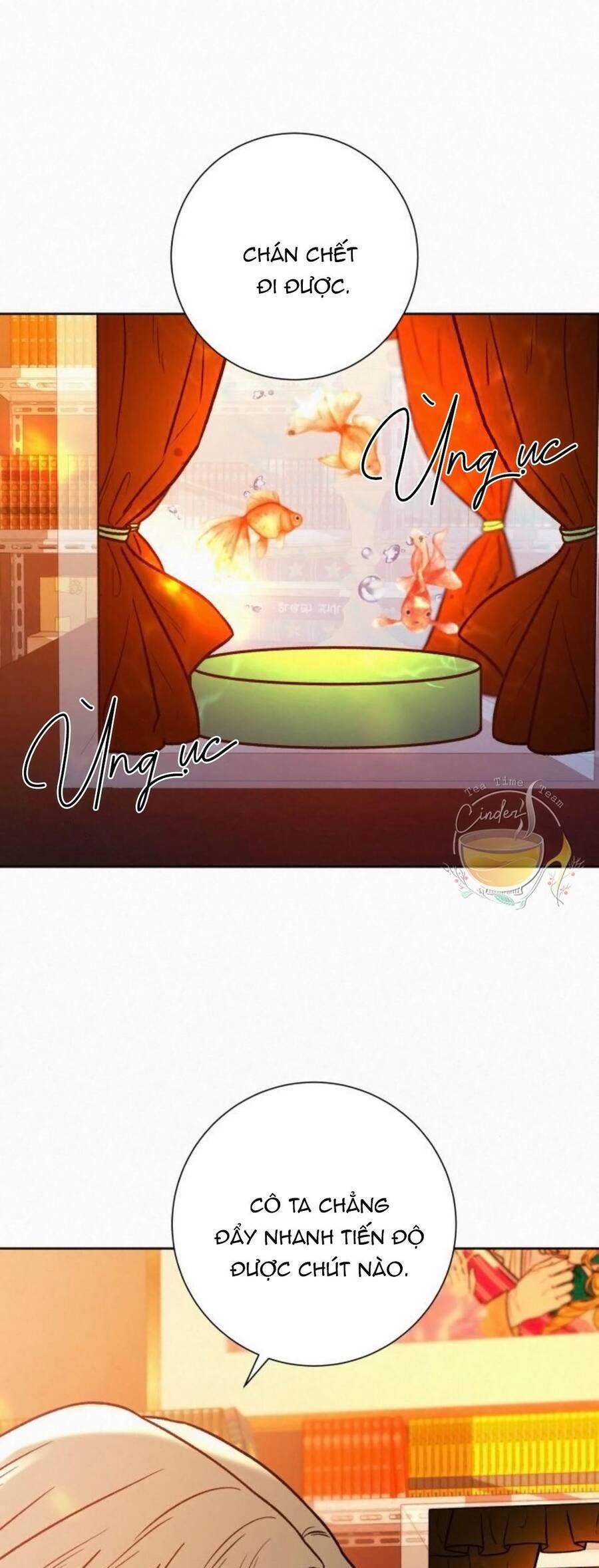 Tình Yêu Trong Sáng 41 trang 1