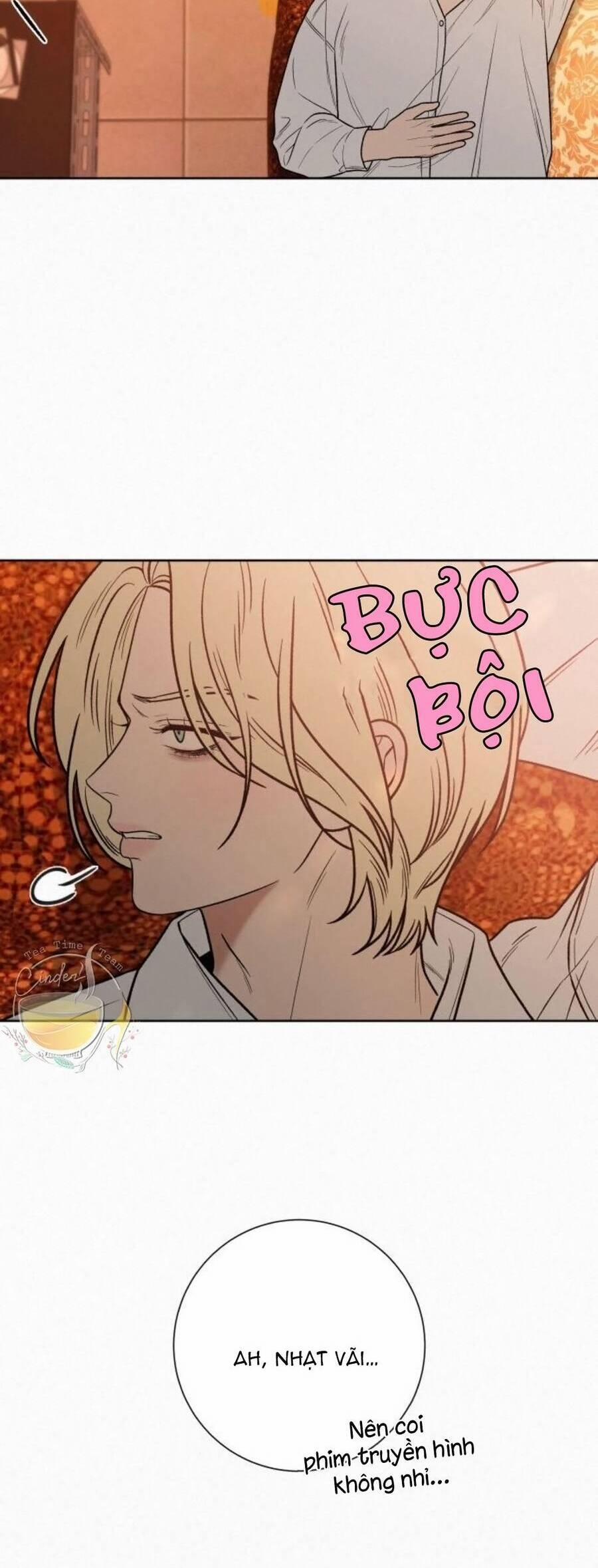 Tình Yêu Trong Sáng 41 trang 4