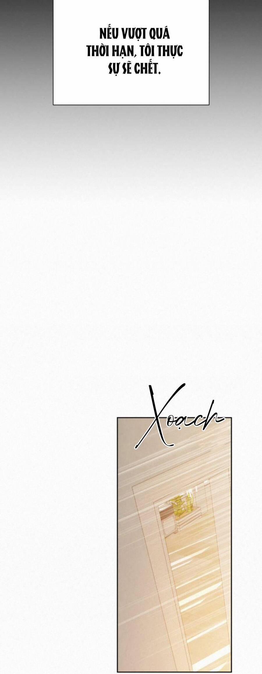 Tình Yêu Trong Sáng 41 trang 42