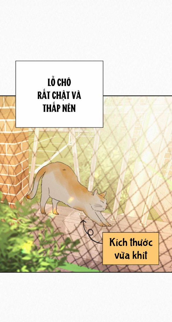 Tình Yêu Trong Sáng 45 trang 62