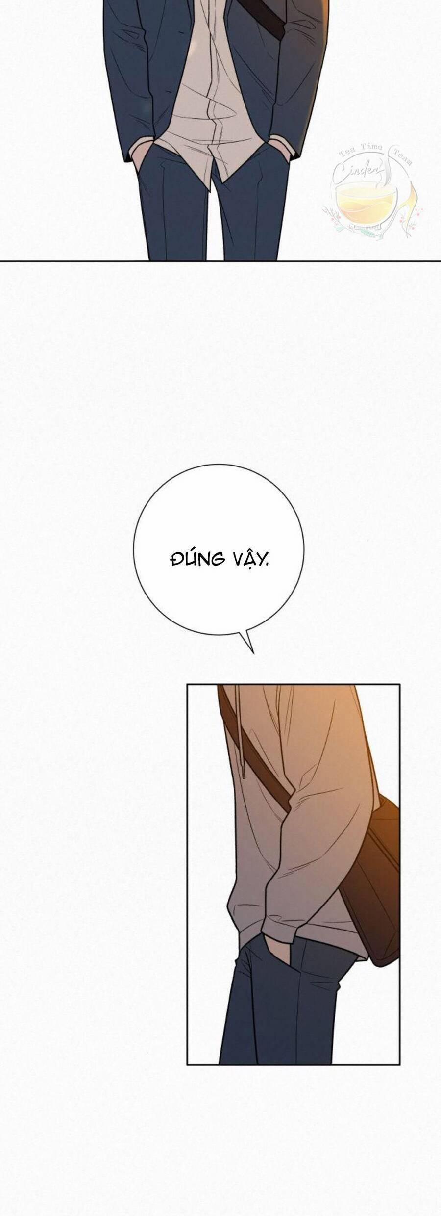 Tình Yêu Trong Sáng 46 trang 13