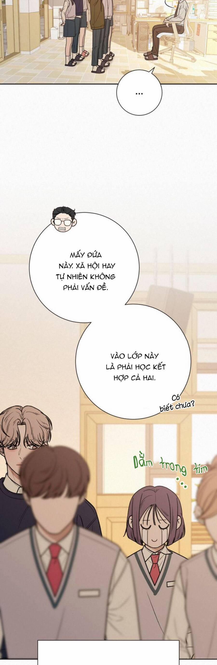 Tình Yêu Trong Sáng 47 trang 15